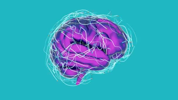 Återgivning Mänskliga Hjärnan Anatomi Vetenskap Koncept Medicinsk Forskningsdator — Stockvideo