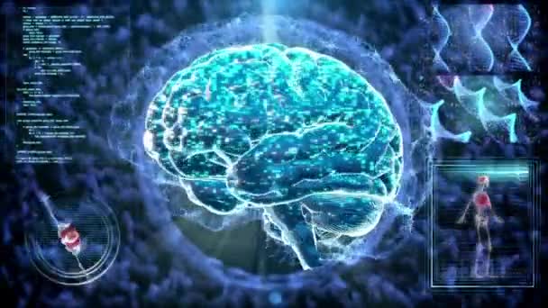 Иллюстрация Мозг Наука Человека Анимация Анатомия Фон Черный — стоковое видео