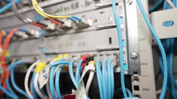Bezár Ethernet Kábel Hálózati Kapcsolók Fény Háttér Hálózat Internet Kábelek — Stock videók