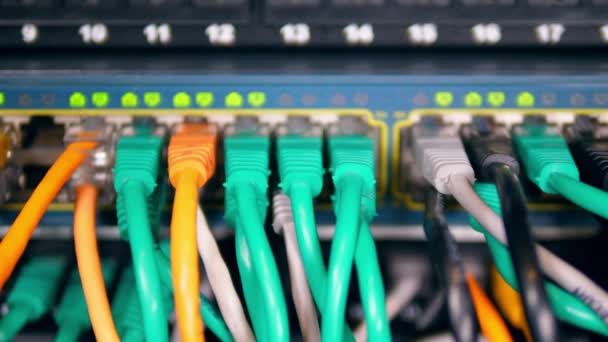 ネットワークスイッチのイーサネットケーブルを閉じるライトバックグランドネットワークインターネットケーブルデータセンター — ストック動画