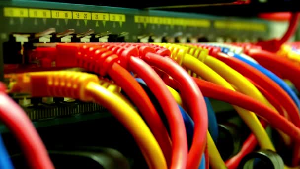 Nätverks Server Rum Routrar Och Ethernet Kabel Nätverk Växlar Bakgrund — Stockvideo