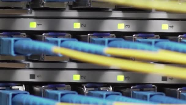 网络服务器机房路由器和以太网电缆在网络交换机后台交换机端口电缆上 — 图库视频影像