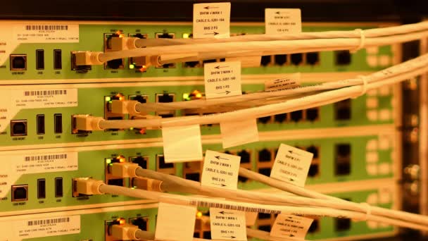 ラックデータセンター上のLanケーブルマウントとネットワークスイッチサーバーインターネット接続クラッタケーブル — ストック動画