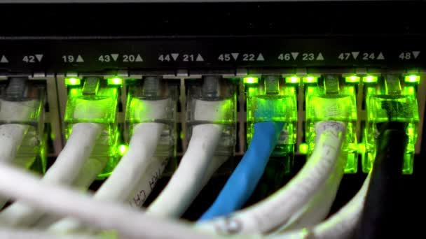 Bağlantılarındaki Internet Ethernet Kablosunun Sunucu Odası Veri Merkezindeki Arka Planlarını — Stok video