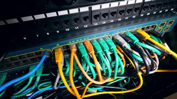 Netwerkschakelaar Met Lan Kabelbevestiging Rack Datacenter Server Internet Connected Cluttered — Stockvideo