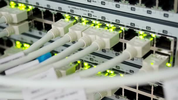 Işık Düğmesi Kablolu Sunucu Rafı Veri Merkezi Ethernet Kablosuna Bağlı — Stok video