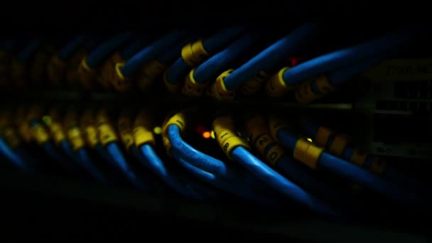 Закрыть Обзор Интернет Кабеля Ethernet Фоне Сетевых Коммутаторов Серверной Комнате — стоковое видео
