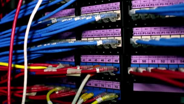 Servidores Base Datos Modernos Server Room Rack Hosting Data Center — Vídeos de Stock