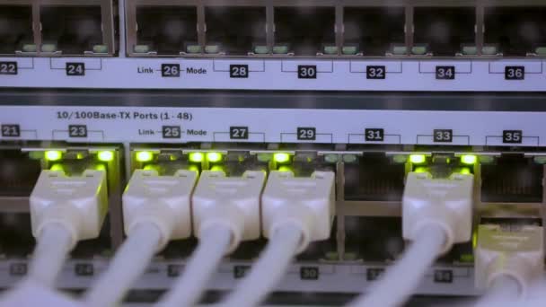 Menghubungkan Kabel Patch Pusat Data Dengan Led Lights Blink Server — Stok Video