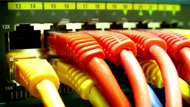 Conexión Parche Cables Centros Datos Con Luces Led Blinks Tecnología — Vídeo de stock