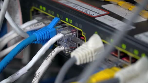 Close Ethernet Kabel Auf Netzwerk Switches Licht Hintergrund Netzwerk Internet — Stockvideo