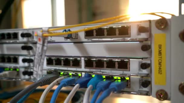 ネットワークスイッチのイーサネットケーブルを閉じるライトバックグランドネットワークインターネットケーブルデータセンター — ストック動画