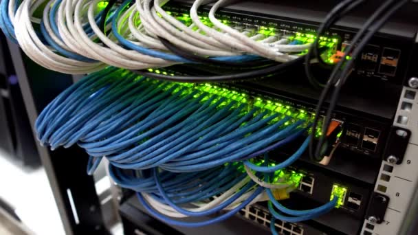 Routers Sala Servidores Red Cable Ethernet Red Conmuta Cables Puertos — Vídeos de Stock