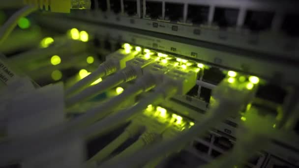 Bezárás Kilátás Internet Ethernet Kábel Hálózati Kapcsolók Háttér Szerver Szoba — Stock videók