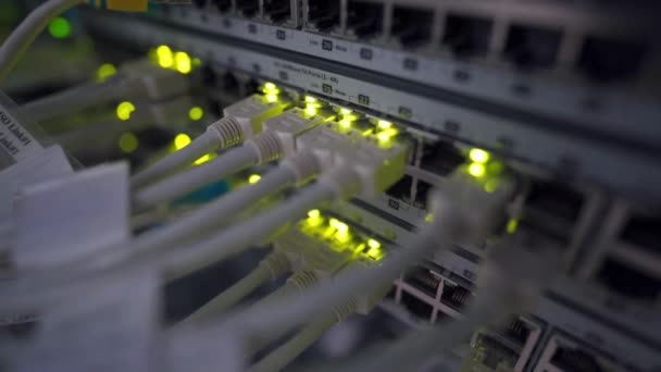 Serverraum Des High Tech Internet Rechenzentrums Kabel Verbinden Von Lan — Stockvideo
