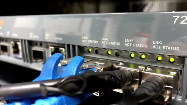 Kabeldraden Verbinden Met Datacenters Met Led Lampjes Knippert Internet Technologie — Stockvideo