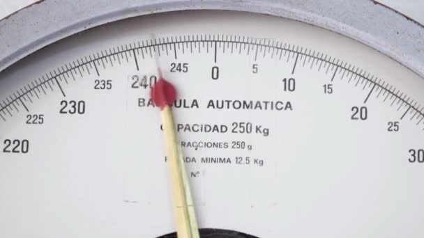 Close Balança Peso Pesos Medida Conceito Dieta Saúde Fitness Saudável — Vídeo de Stock