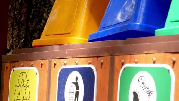 Kobieta Wkładająca Plastikowe Butelki Kosza Śmieci Sortująca Odpady Plastikowych Butelek — Wideo stockowe