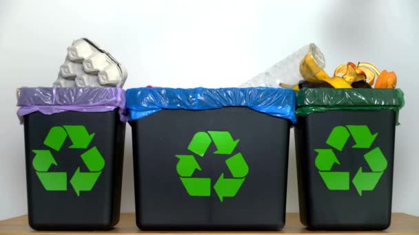 Πλαστικός Κάδος Απορριμμάτων Απορρίμματα Δοχείο Γεμάτο Πλαστικά Σκουπίδια Φιάλες Ποτήρια — Αρχείο Βίντεο