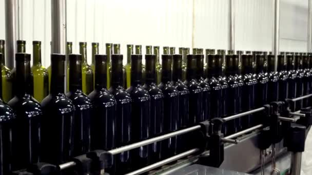 Producción Agua Mineral Planta Procesamiento Alimentos Línea Fabricación Botellas Vidrio — Vídeos de Stock