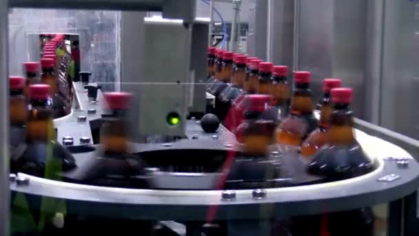 Fábrica Garrafa Água Fábrica Engarrafamento Indústria Bebidas Linha Produção Automatizada — Vídeo de Stock
