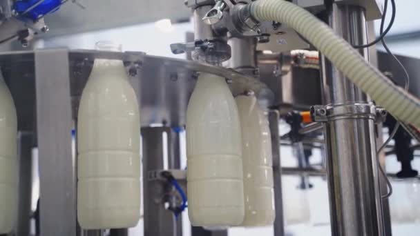 Botella Plástico Industria Fábrica Alimentos Bebidas Concepto Proceso Fabricación Tecnología — Vídeo de stock