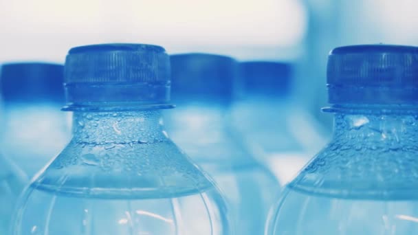 Primer Plano Botellas Vacías Plástico Azul Fila Botella Transportador Planta — Vídeos de Stock