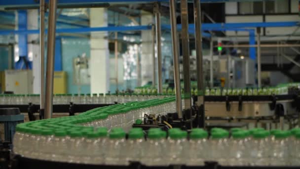 Close Garrafa Água Mineral Uma Linha Produção Concept Technology Fabricação — Vídeo de Stock