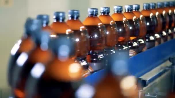 Produktionslinje För Mineralvatten Och Kolsyrade Drycker Tillverkning Och Bearbetning Flaskor — Stockvideo