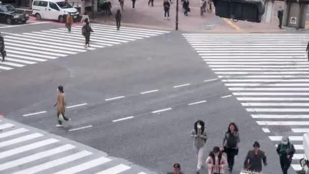 空中トップビュー歩行者の横断歩道を歩く人々 ホワイトレーン ライン シティ通り ラッシュアワー時間 — ストック動画