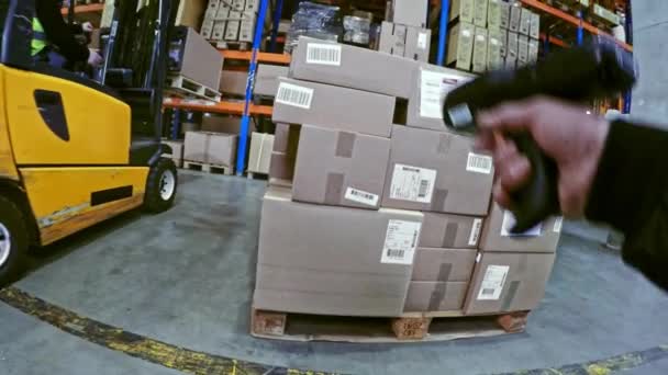 Arbeiter Scannen Und Sortieren Pakete Einzelhandel Auf Lager Voller Regale — Stockvideo