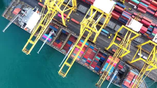 Time Lapse Buque Carga Contenedores Puerto Industrial Negocio Comercial Exportación — Vídeos de Stock