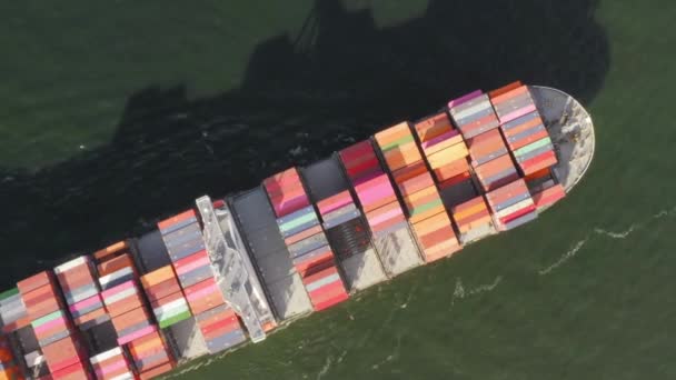 集装箱船进出口业务物流在海上拖轮航运港口运输 — 图库视频影像