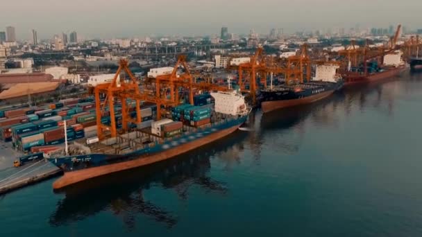 Teherhajók Kikötői Teherhajók Konténeres Dokkolás Árufuvarozási Terminál Hajógyári Szállítás — Stock videók