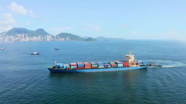Aerial Top View Large Cargo Ships Drone Freight Ship Full — Stock Video