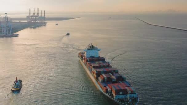 Εμπορευματικά Πλοία Λιμάνι Φορτηγά Πλοία Ελλιμενισμός Εμπορευματοκιβωτίων Εμπορευματικές Λιμενικές Λιμενικές — Αρχείο Βίντεο