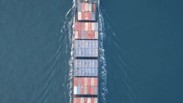Kontenerowiec Żegluga Morska Przemysł Transport Towarowy Koncepcja Globalny Transport Logistic — Wideo stockowe
