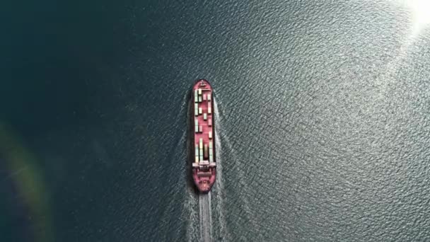 无人驾驶集装箱船与远洋商船的集装箱船散装货船一起飞行 — 图库视频影像