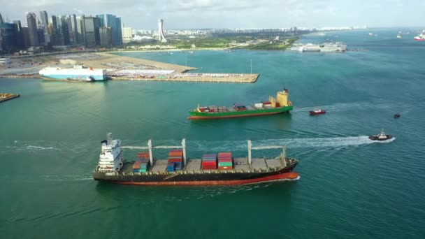 Ticari Ticaret Denizcilik Ithalatında Sanayi Limanındaki Konteynır Kargo Gemisi — Stok video