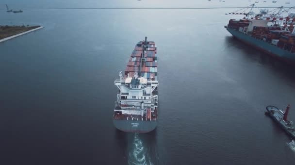 Kontenerowy Statek Towarowy Porcie Przemysłowym Imporcie Eksport Handel Handlowy Morski — Wideo stockowe