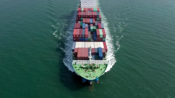 Kontenerowy Statek Towarowy Porcie Przemysłowym Imporcie Eksport Handel Handlowy Morski — Wideo stockowe