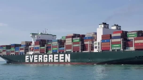 Container Cargo Ship Industrial Port Harbor Import Export Commercial Trade — Stock Video