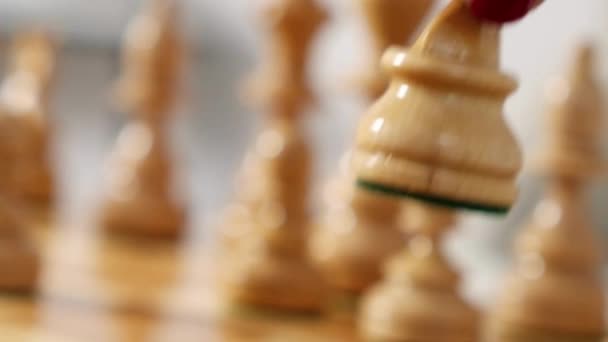 Zbliżenie Makro Shot Chess Knight Pieces Szachownicy Rozmytymi Tłami — Wideo stockowe