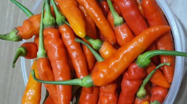 Bird 's Eye Chili veya Cabai Rawit. Plastik kasede. Dünyanın en sıcak kırmızı biberlerinden biridir. Endonezya mutfağında bu biberi çok çeşitli şekillerde kullanır.