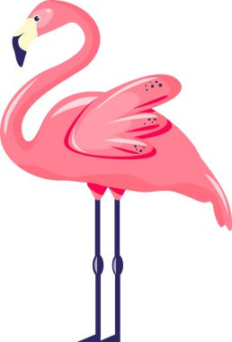 İzole edilmiş flamingo yaz vektör çizimi
