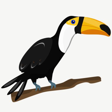   Bir dalda Toucan kuş karikatürü