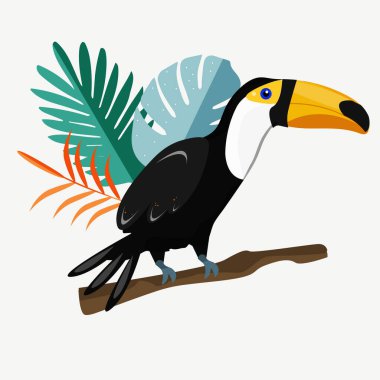 Tropikal yapraklı bir dalda Toucan kuş karikatürü