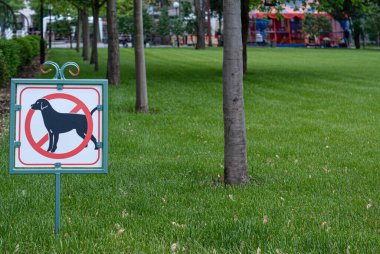 Şehirdeki bir parkta büyük yeşil ve gri bir kapı duruyor.