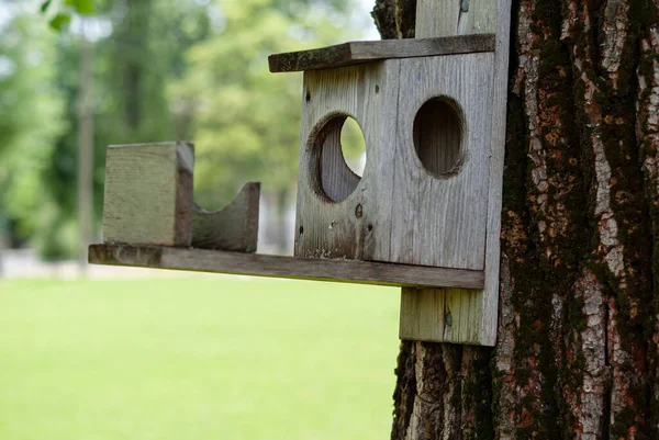 Ağaca Asılı Ahşap Bir Kuş Evi Kuşlar Için Bir Yapımı — Stok fotoğraf
