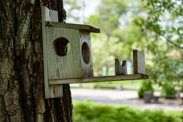 Pajarito Madera Cuelga Árbol Una Casa Para Pájaros Casa Pájaros —  Fotos de Stock